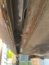 IMG_1681.jpeg