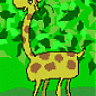 Raffe